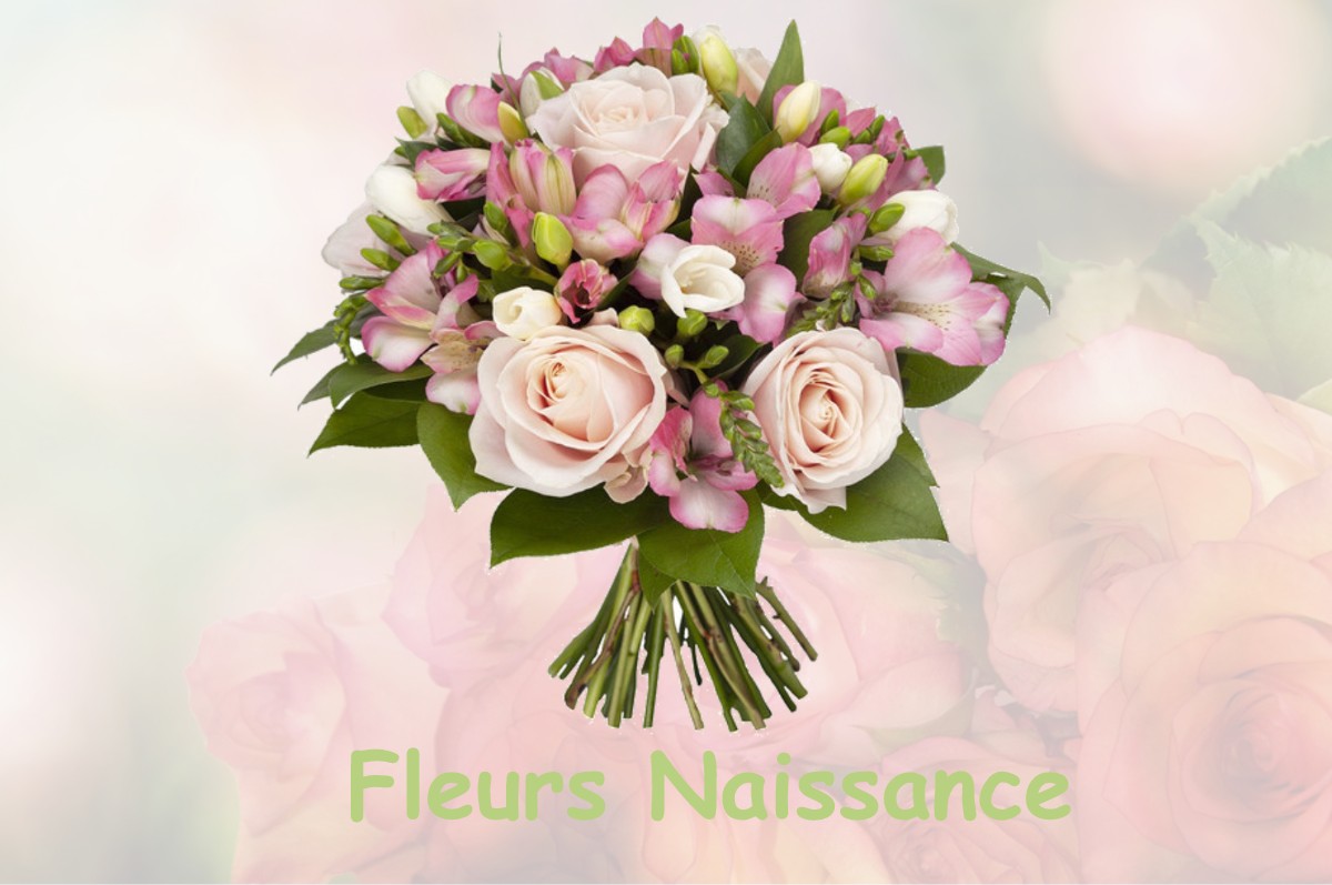fleurs naissance SAINT-PIERRE-LES-FRANQUEVILLE