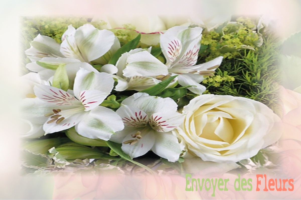 envoyer des fleurs à à SAINT-PIERRE-LES-FRANQUEVILLE